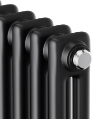 Стальной трубчатый радиатор 2-колончатый Royal Thermo Insignia C2180 - 06 секц. RAL9005m, боковое 1/2