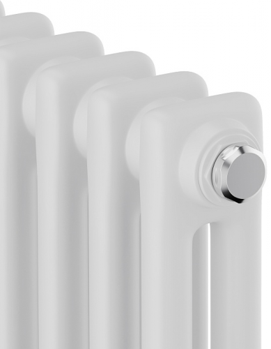 Стальной трубчатый радиатор 2-колончатый Royal Thermo Insignia C2180 - 12 секц. RAL9016, боковое 1/2